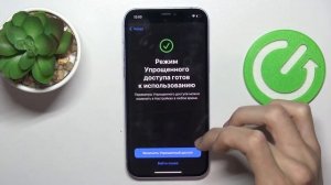 Как включить упрощенный доступ на 12 айфоне | Как войти