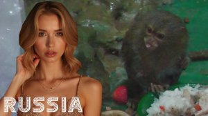 [RU] Красногорск: Пешеходная экскурсия [Крокус Сити Океанариум "Реки и Озера" / Panasonic HC-X1600]