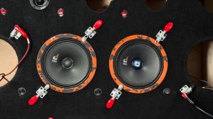 DL Audio Gryphon PRO 165 SE / Обзор и прослушка