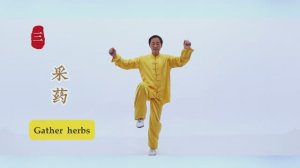Даосский комплекс Дао Инь «12 методов продления жизни из пещеры Сянь Гу» - huxiaofeiacademy.ru