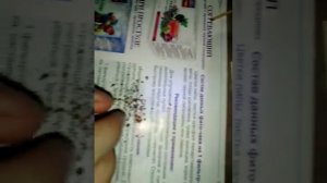 Как сделать петарду своими руками из подручных средств