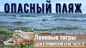 Опасный пляж и ленивые тигры. Едем в Приморский край из Красноярска. Часть 12.