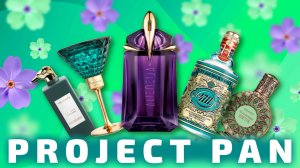 АРОМАТНЫЙ Project Pan 2024 | итоговый отчет