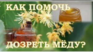 Как помочь дозреть мёду?