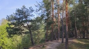 Токсичное общение в нашей жизни. 2-ое видео