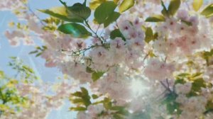 Как тепло! (Весенняя песня для настроения)