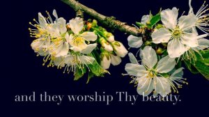 Baha'i Prayer for Spiritual Gatherings in English