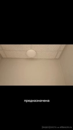Точка доступа WEP-200L Eltex. Видео[Охота] на eltexcm.ru