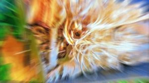 ТОП-5: Лучшие OLED-телевизоры 2025