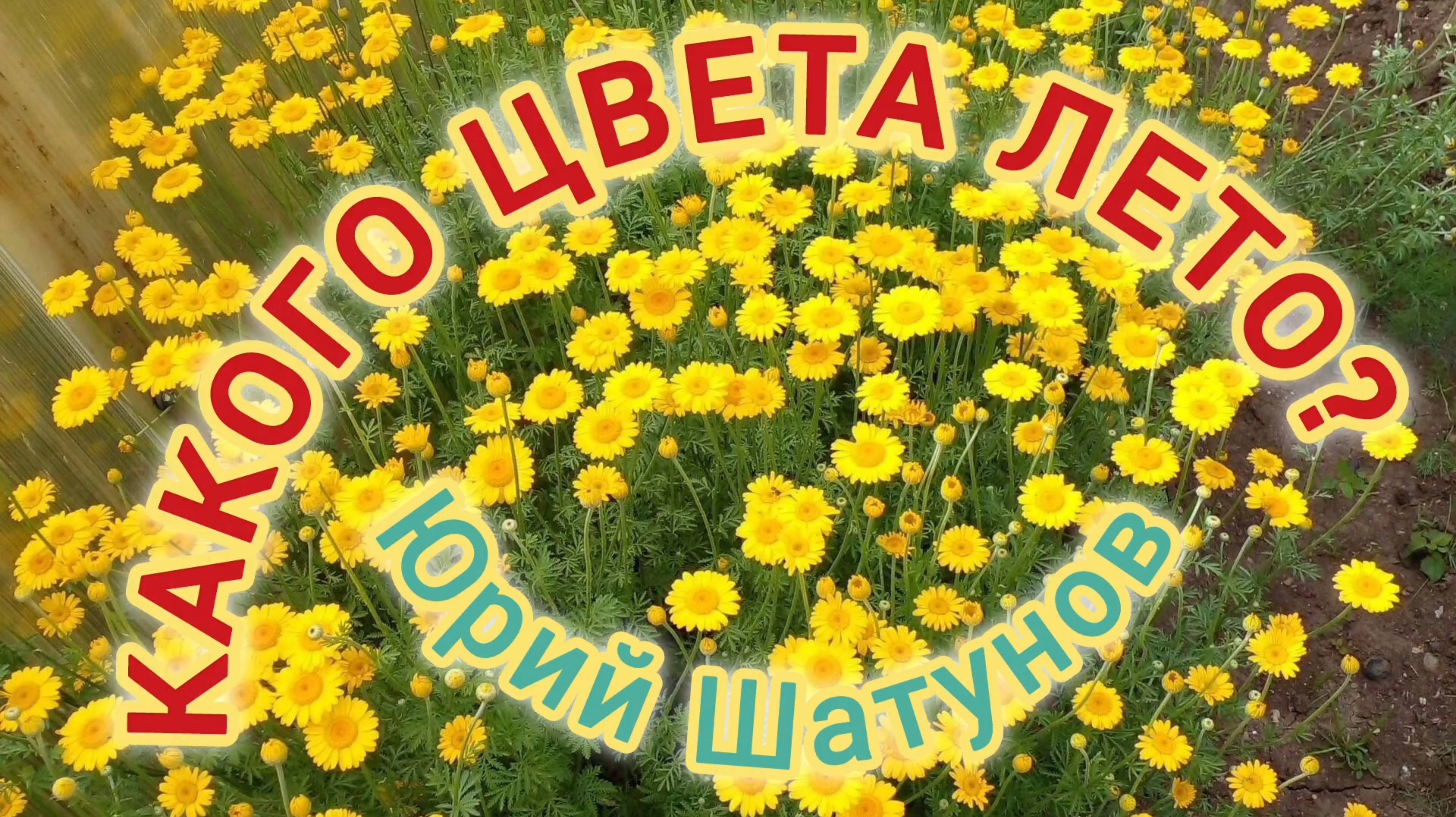 КАКОГО ЦВЕТА ЛЕТО?