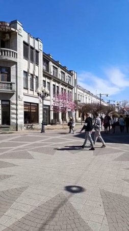 Магнолия или нет?