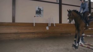 • ЭСТЕТИКА КОНКУРА • | ЭСТЕТИЧНОЕ ВИДЕО | #конкур #конныймир #конники #конныйспорт