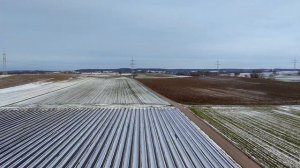 DJI NEO/Дальность полёта/ Качество видео