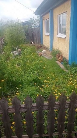 Где-то в России!!!