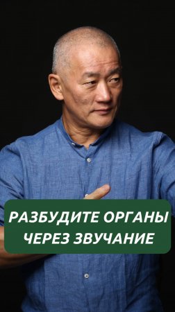 Разбудите органы через звучание
