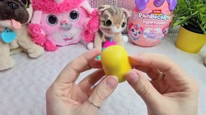 ASMR РАСПАКОВКА МИЛЕЙШЕГО МЕХА НАСТОЯЩЕГО ПРЫГУЧЕГО МОПСА ЖИВЫЕ ДОМАШНИЕ ЖИВОТНЫЕ КОТЕНОК