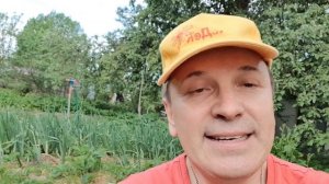 Век живи. век учись...