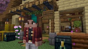 ЛУЧШИЙ БЕСПЛАТНЫЙ ПРИВАТНЫЙ СЕРВЕР МАЙНКРАФТ XENONSMP 1.21