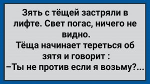 Как Зять с Тещей в Лифте Застрял! Сборник Свежих Анекдотов! Юмор!