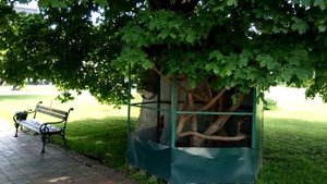 Новгород -Северский .Спасо-Преображенский монастырь.20