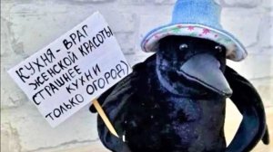 Наши дела в огороде.26 мая
