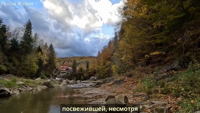 Залезла в долги, собирая мужа на заработки, но когда ув смотреть онлайн