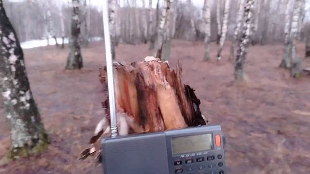 XHDATA D-808. ТРОЙКА И АКТИВНАЯ СОРОКОВКА. смотреть онлайн