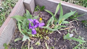 Продолжаем убираться на водить красоту.