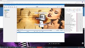 Обзор  и Возможности караоке плеера Карафан версии сб?