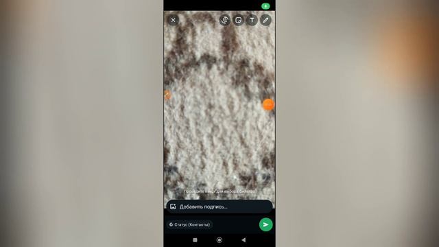 Как добавить еще один статус в Ватсапе? смотреть онлайн