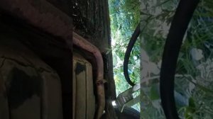 Выведение воды из бака на ВАЗ 2115