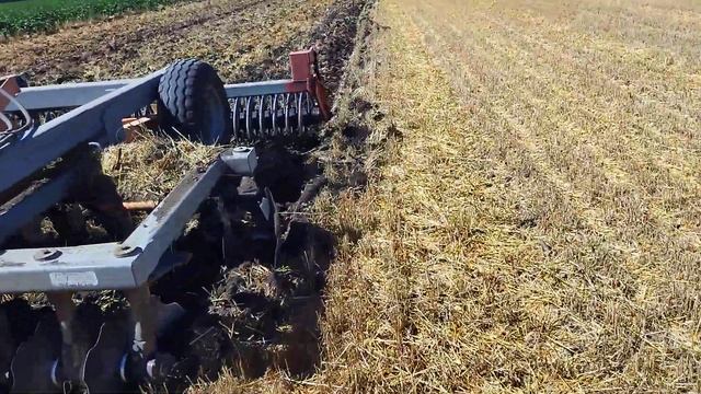 Дискование оз. ячменя 2024г. смотреть онлайн