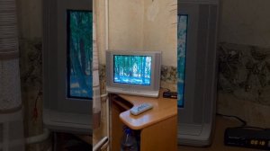 Телевизор Samsung CS-15-M16MJQ и Т2 тюнер World Vision T62D