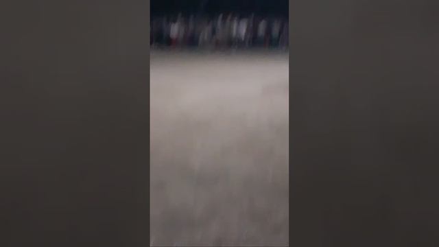 Чорбог тв 81 в прямом эфире! смотреть онлайн