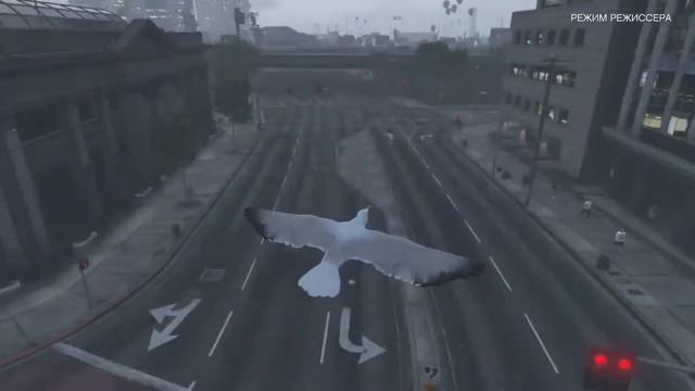 Балуюсь в режиме режиссёра GTA 5 смотреть онлайн