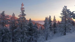 ЗАЧЕМ СЮДА ЕДЕТ ВСЯ РОССИЯ? Рындевич на Белом море