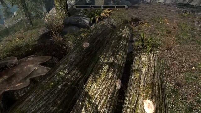 ОБЗОР НА МУРАВЬЕВ В SKYRIM смотреть онлайн