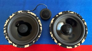 DL Audio Python 165 Comp & Coax (Чешуйчатые певуны)