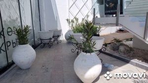 НОРИЛЬСК или ЯЛТА за 5 дней до лета