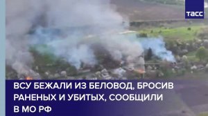 МО РФ публикует кадры освобождения Беловод в Сумской области