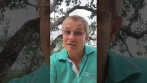 Флешмоб #coolpapa2017. Александр Шевченко