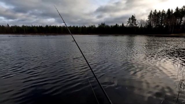Активен ли ноябрьский окунь,на небольших озерах.Экспр смотреть онлайн