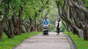 Ковальчук: расходы на социальную сферу в 2025 году вырастут на 314 млрд