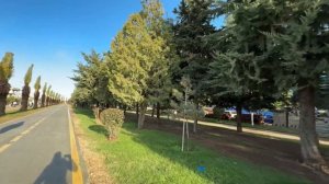 Зимний Батуми 2025