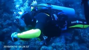 Шарм-Эль-Шейх 2019 / Sharm el-Sheikh 2019