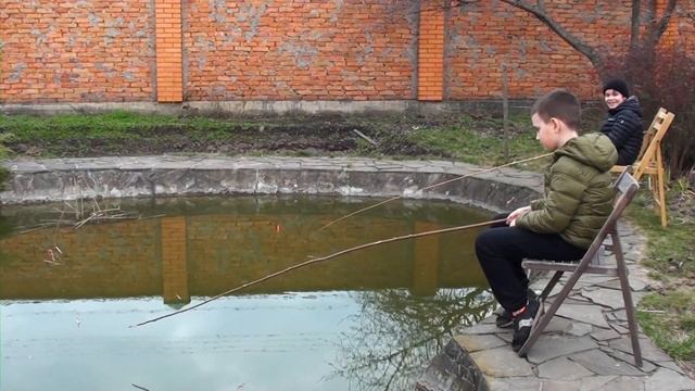 Редкий КАРП КОИ на палку с леской в старом озере!  Я и