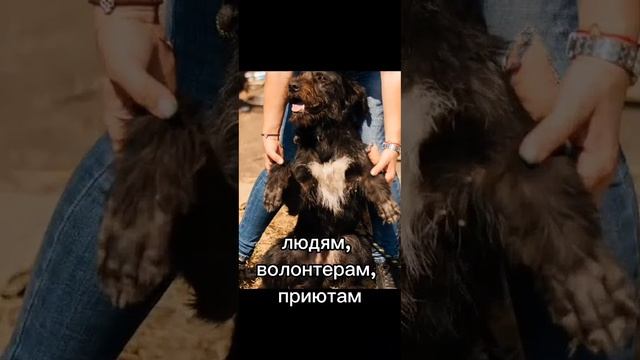 Персиановка,Рост.обл. 🙏Тел для связи :89281366606 Оксана+7961 смотреть онлайн