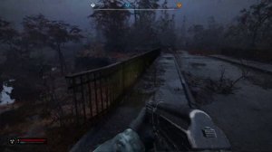 Останнє полювання Сивого ► S.T.A.L.K.E.R. 2: Heart of Chornobyl