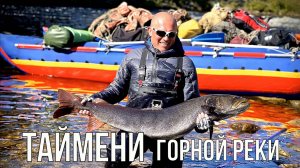Таймени горной Реки
(таймень, рыбалка)