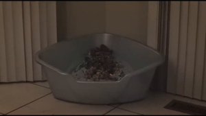 КОРОТКОМЕТРАЖКА “ СДЕЛАЙ МНЕ СЭНДВИЧ ” 16+